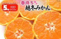 みかん&nbsp;春待ち&nbsp;越冬みかん&nbsp;箱込5kg(内容量4.4kg)&nbsp;等級／サイズミックス&nbsp;和歌山県産&nbsp;産地直送