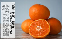 みかん&nbsp;春待ち&nbsp;越冬みかん&nbsp;箱込5kg(内容量4.4kg)&nbsp;等級／サイズミックス&nbsp;和歌山県産&nbsp;産地直送