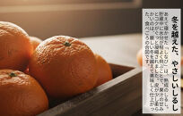 みかん&nbsp;春待ち&nbsp;越冬みかん&nbsp;箱込10kg(内容量9.2kg)&nbsp;等級／サイズミックス&nbsp;和歌山県産&nbsp;産地直送