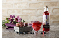 【父の日ギフト】のむ酢・酢パークリング詰め合わせ【化粧箱入】8本&nbsp;＜のむ檸檬酢（3倍濃縮タイプ200ml×4本・のむ檸檬酢パークリング200ml×2本・のむブルーベリー酢パークリング200ml××2本＞