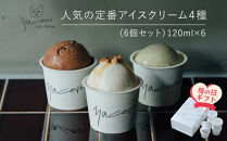 【母の日ギフト】人気の定番アイスクリーム４種（6個セット）