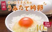 【6回定期便】さいとうさんちのうみたて吟卵　40個入り