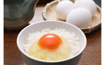 【6回定期便】さいとうさんちのうみたて吟卵　40個入り