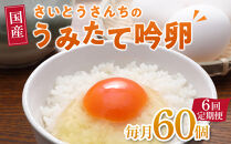 【6回定期便】さいとうさんちのうみたて吟卵　60個入り