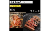 旬熟成　熟成牛大とろたん　800g　