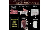 旬熟成　熟成牛ハラミ　タレ漬け&nbsp;1500g　