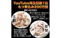 【花いち】自家製もつ煮込み600g&nbsp;(200g×3パック)【11100-1905】