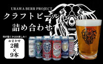 U.B.P&nbsp;BREWERY&nbsp;クラフトビール詰め合わせ　2種×9本