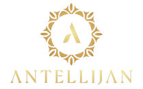 ネイルチップ　ミディアム【夜咲】XSサイズ　Antellijan大宮ネイルサロンのハンドメイド　M6-XS