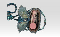 【ハンドメイド】青柚子バタフライ　柚子色　籐かごバッグ　カラーラタンバスケット　おしゃれバッグ　デザインバッグ　ショルダーバッグ