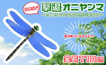 撃退オニヤンマ～完成品　