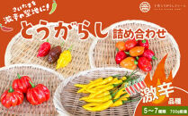 【十色とうがらしファーム】とうがらし＜激辛＞品種詰合せ