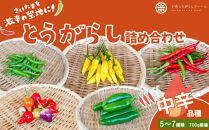 【十色とうがらしファーム】とうがらし＜中辛＞品種詰合せ