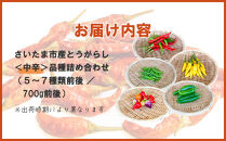 【十色とうがらしファーム】とうがらし＜中辛＞品種詰合せ