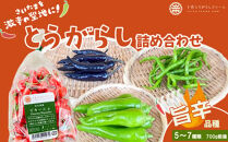 【十色とうがらしファーム】とうがらし＜旨辛＞品種詰合せ