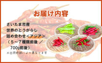 【十色とうがらしファーム】世界のとうがらし詰合せ＜アジア＞