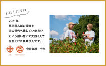 【十色とうがらしファーム】世界のとうがらし詰合せ＜南米＞