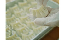 うらわ餃子　レギュラー20個・しそ10個・旨辛10個セット　