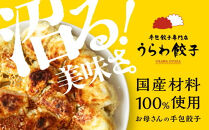 うらわ餃子　レギュラー・しそ・旨辛各20個セット　