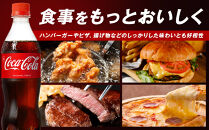 コカ・コーラ&nbsp;500mlPET×24本　【11100-0519】リフレッシュ&nbsp;炭酸飲料&nbsp;ケース&nbsp;箱買い&nbsp;まとめ買い&nbsp;備蓄&nbsp;飲料&nbsp;ソフトドリンク&nbsp;ギフト&nbsp;ふるさと納税&nbsp;さいたま市&nbsp;常備&nbsp;差し入れ&nbsp;景品&nbsp;詰め合わせ&nbsp;炭酸&nbsp;人気&nbsp;子供&nbsp;おすすめ