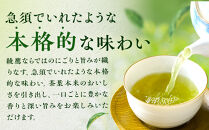 綾鷹&nbsp;300mlPET×24本　【11100-0522】緑茶&nbsp;日本茶&nbsp;グリーンティー&nbsp;&nbsp;お茶&nbsp;飲料&nbsp;ドリンク&nbsp;水分補給&nbsp;箱買い&nbsp;まとめ買い&nbsp;日常使い&nbsp;生活用品&nbsp;防災&nbsp;備蓄&nbsp;ソフトドリンク&nbsp;ギフト&nbsp;ふるさと納税&nbsp;さいたま市&nbsp;常備&nbsp;差し入れ&nbsp;景品&nbsp;詰め合わせ&nbsp;人気&nbsp;子供&nbsp;おすすめ
