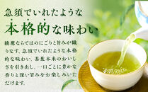 綾鷹&nbsp;300mlPET×24本×3箱　【11100-0524】緑茶&nbsp;日本茶&nbsp;グリーンティー&nbsp;&nbsp;お茶&nbsp;飲料&nbsp;ドリンク&nbsp;水分補給&nbsp;箱買い&nbsp;まとめ買い&nbsp;日常使い&nbsp;生活用品&nbsp;防災&nbsp;備蓄&nbsp;ソフトドリンク&nbsp;ギフト&nbsp;ふるさと納税&nbsp;さいたま市&nbsp;常備&nbsp;差し入れ&nbsp;景品&nbsp;詰め合わせ&nbsp;人気&nbsp;子供&nbsp;おすすめ
