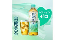 爽健美茶&nbsp;300mlPET×24本　【11100-0540】
