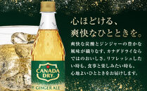 カナダドライ&nbsp;ジンジャーエール&nbsp;500mlPET×24本　【11100-0569】リフレッシュ&nbsp;炭酸飲料&nbsp;ケース&nbsp;箱買い&nbsp;まとめ買い&nbsp;備蓄&nbsp;飲料&nbsp;ソフトドリンク&nbsp;ギフト&nbsp;ふるさと納税&nbsp;さいたま市&nbsp;常備&nbsp;差し入れ&nbsp;景品&nbsp;詰め合わせ&nbsp;炭酸&nbsp;人気&nbsp;子供&nbsp;おすすめ&nbsp;シャンディガフ&nbsp;刺激&nbsp;気分爽快&nbsp;料理