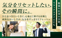 カナダドライ&nbsp;ジンジャーエール&nbsp;500mlPET×24本　【11100-0569】リフレッシュ&nbsp;炭酸飲料&nbsp;ケース&nbsp;箱買い&nbsp;まとめ買い&nbsp;備蓄&nbsp;飲料&nbsp;ソフトドリンク&nbsp;ギフト&nbsp;ふるさと納税&nbsp;さいたま市&nbsp;常備&nbsp;差し入れ&nbsp;景品&nbsp;詰め合わせ&nbsp;炭酸&nbsp;人気&nbsp;子供&nbsp;おすすめ&nbsp;シャンディガフ&nbsp;刺激&nbsp;気分爽快&nbsp;料理