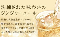 カナダドライ&nbsp;ジンジャーエール&nbsp;500mlPET×24本　【11100-0569】リフレッシュ&nbsp;炭酸飲料&nbsp;ケース&nbsp;箱買い&nbsp;まとめ買い&nbsp;備蓄&nbsp;飲料&nbsp;ソフトドリンク&nbsp;ギフト&nbsp;ふるさと納税&nbsp;さいたま市&nbsp;常備&nbsp;差し入れ&nbsp;景品&nbsp;詰め合わせ&nbsp;炭酸&nbsp;人気&nbsp;子供&nbsp;おすすめ&nbsp;シャンディガフ&nbsp;刺激&nbsp;気分爽快&nbsp;料理