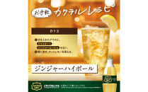 カナダドライ&nbsp;ジンジャーエール&nbsp;500mlPET×24本×2箱　【11100-0570】リフレッシュ&nbsp;炭酸飲料&nbsp;ケース&nbsp;箱買い&nbsp;まとめ買い&nbsp;備蓄&nbsp;飲料&nbsp;ソフトドリンク&nbsp;ギフト&nbsp;ふるさと納税&nbsp;さいたま市&nbsp;常備&nbsp;差し入れ&nbsp;景品&nbsp;詰め合わせ&nbsp;炭酸&nbsp;人気&nbsp;子供&nbsp;おすすめ&nbsp;シャンディガフ&nbsp;刺激&nbsp;気分爽快&nbsp;料理&nbsp;