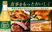 カナダドライ&nbsp;ジンジャーエール&nbsp;500mlPET×24本×2箱　【11100-0570】リフレッシュ&nbsp;炭酸飲料&nbsp;ケース&nbsp;箱買い&nbsp;まとめ買い&nbsp;備蓄&nbsp;飲料&nbsp;ソフトドリンク&nbsp;ギフト&nbsp;ふるさと納税&nbsp;さいたま市&nbsp;常備&nbsp;差し入れ&nbsp;景品&nbsp;詰め合わせ&nbsp;炭酸&nbsp;人気&nbsp;子供&nbsp;おすすめ&nbsp;シャンディガフ&nbsp;刺激&nbsp;気分爽快&nbsp;料理