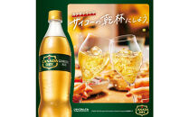カナダドライ&nbsp;ジンジャーエール&nbsp;500mlPET×24本×3箱　【11100-0571】リフレッシュ&nbsp;炭酸飲料&nbsp;ケース&nbsp;箱買い&nbsp;まとめ買い&nbsp;備蓄&nbsp;飲料&nbsp;ソフトドリンク&nbsp;ギフト&nbsp;ふるさと納税&nbsp;さいたま市&nbsp;常備&nbsp;差し入れ&nbsp;景品&nbsp;詰め合わせ&nbsp;炭酸&nbsp;人気&nbsp;子供&nbsp;おすすめ&nbsp;シャンディガフ&nbsp;刺激&nbsp;気分爽快&nbsp;料理&nbsp;