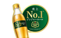 カナダドライ&nbsp;ジンジャーエール&nbsp;500mlPET×24本×3箱　【11100-0571】リフレッシュ&nbsp;炭酸飲料&nbsp;ケース&nbsp;箱買い&nbsp;まとめ買い&nbsp;備蓄&nbsp;飲料&nbsp;ソフトドリンク&nbsp;ギフト&nbsp;ふるさと納税&nbsp;さいたま市&nbsp;常備&nbsp;差し入れ&nbsp;景品&nbsp;詰め合わせ&nbsp;炭酸&nbsp;人気&nbsp;子供&nbsp;おすすめ&nbsp;シャンディガフ&nbsp;刺激&nbsp;気分爽快&nbsp;料理&nbsp;