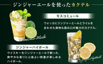 カナダドライ&nbsp;ジンジャーエール&nbsp;500mlPET×24本×3箱　【11100-0571】リフレッシュ&nbsp;炭酸飲料&nbsp;ケース&nbsp;箱買い&nbsp;まとめ買い&nbsp;備蓄&nbsp;飲料&nbsp;ソフトドリンク&nbsp;ギフト&nbsp;ふるさと納税&nbsp;さいたま市&nbsp;常備&nbsp;差し入れ&nbsp;景品&nbsp;詰め合わせ&nbsp;炭酸&nbsp;人気&nbsp;子供&nbsp;おすすめ&nbsp;シャンディガフ&nbsp;刺激&nbsp;気分爽快&nbsp;料理