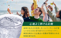 カナダドライ&nbsp;トニックウォーター&nbsp;500mlPET×24本　【11100-0572】炭酸&nbsp;ほどよい苦味&nbsp;シトラス&nbsp;割りもの&nbsp;大人&nbsp;ケース&nbsp;箱買い&nbsp;まとめ買い&nbsp;備蓄&nbsp;飲料&nbsp;ソフトドリンク&nbsp;ギフト&nbsp;ふるさと納税&nbsp;さいたま市&nbsp;常備&nbsp;差し入れ&nbsp;景品&nbsp;人気&nbsp;おすすめ