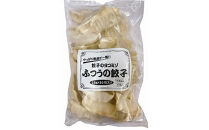 ふつうの餃子（28g×30粒）×2セット　