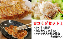 ヨコミゾセット１（ふつうの餃子・おおみやしゅうまい・キクラゲ入り焼小籠包　各1個ずつ）　