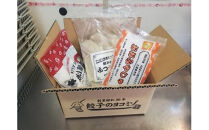 ヨコミゾセット１（ふつうの餃子・おおみやしゅうまい・キクラゲ入り焼小籠包　各1個ずつ）　