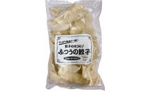 ヨコミゾセット１（ふつうの餃子・おおみやしゅうまい・キクラゲ入り焼小籠包　各1個ずつ）　