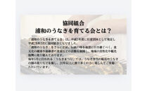 浦和のうなぎを育てる会　お食事券　【11100-0128】さいたま&nbsp;浦和で食事&nbsp;鰻料理&nbsp;うなぎ蒲焼&nbsp;蒲焼き&nbsp;有名&nbsp;伝統の味&nbsp;旅行&nbsp;観光&nbsp;トラベル&nbsp;チケット&nbsp;有効期限1年&nbsp;ウナギ&nbsp;人気&nbsp;おすすめ&nbsp;さいたま県&nbsp;さいたま市