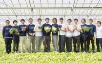 さいたまヨーロッパ野菜研究会のミネストローネ&nbsp;5パック　