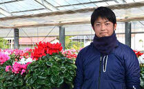 【ノブヒロ園芸】シクラメン　6号鉢　＜おまかせ＞