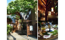 彩懐石高砂商品券（寄附額３万円コース）　