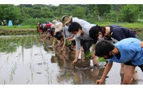 十色の米づくり体験（お米付き）全2回　