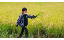 十色の米づくり体験（お米付き）全2回　