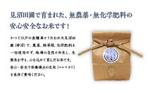 見沼田圃　ほたる米（無農薬／無化学肥料玄米）&nbsp;コシヒカリ&nbsp;5kg　