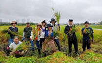 見沼田圃　ほたる米（無農薬／無化学肥料玄米）&nbsp;コシヒカリ&nbsp;5kg　