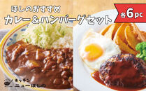 キッチンニューほしの&nbsp;&nbsp;おすすめセット【カレー＆ハンバーグ】【2種×各6パック】　
