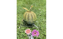 【ハンドメイド】籐の灯り　青りんごランプ　【11100-2098】